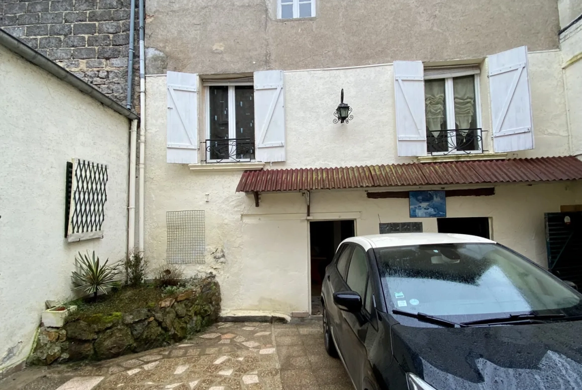 Immeuble mixte de 326 m² avec appartements, local professionnel et garages au Mayet de Montagne 