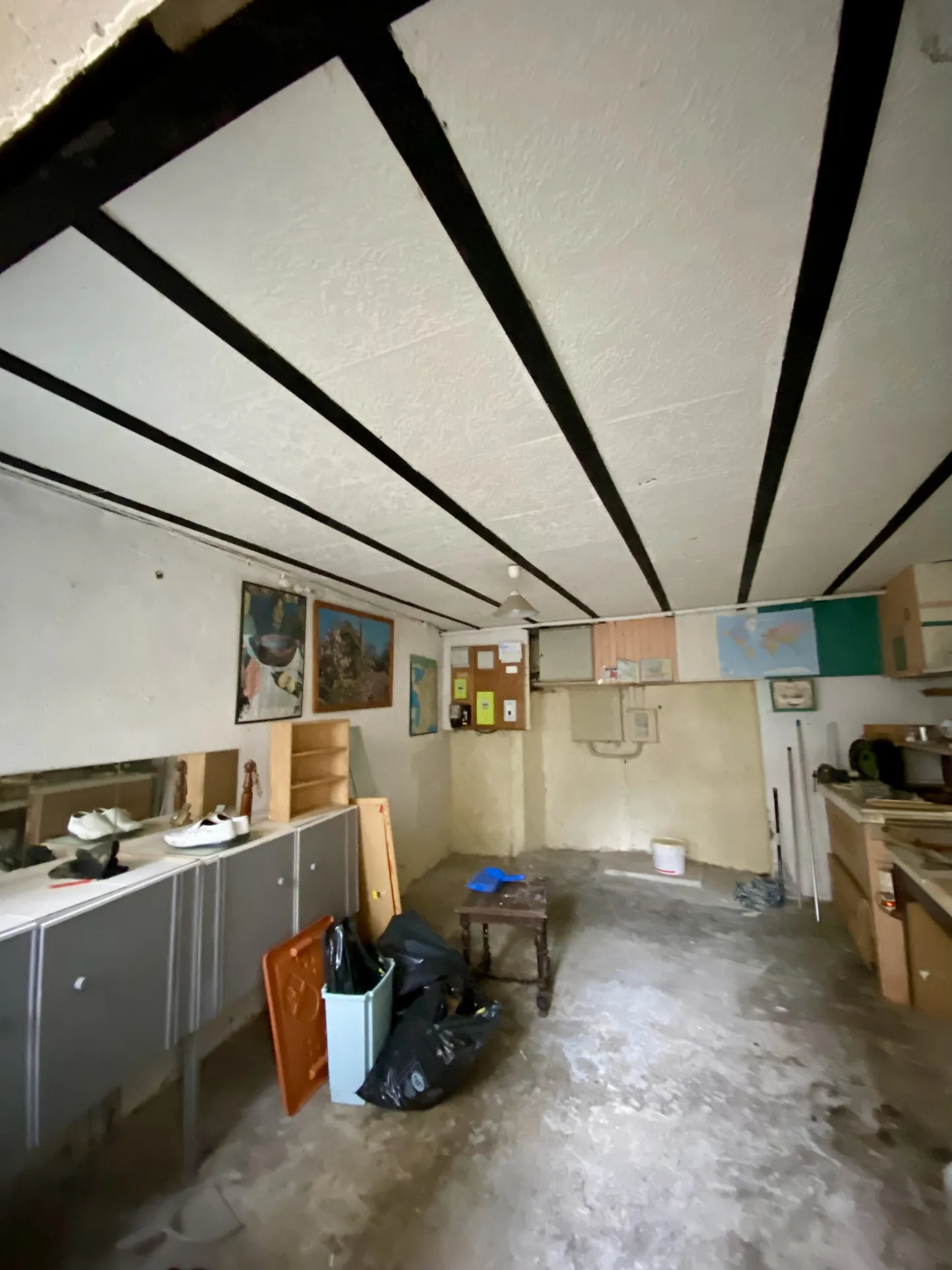 Immeuble mixte de 326 m² avec appartements, local professionnel et garages au Mayet de Montagne 