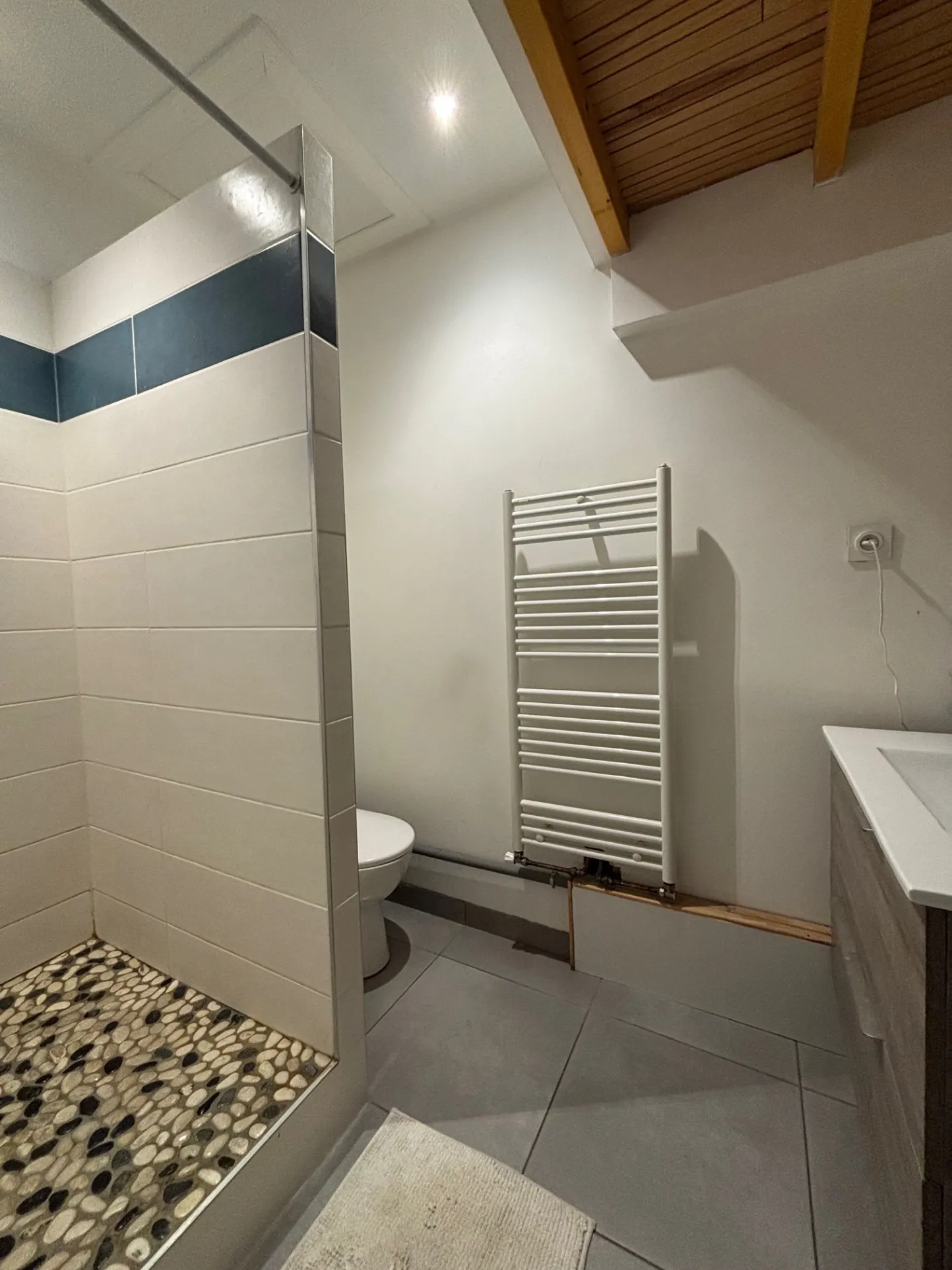 Investissement locatif à Saint-Étienne : Appartement F1 lumineux avec cave, dernier étage 