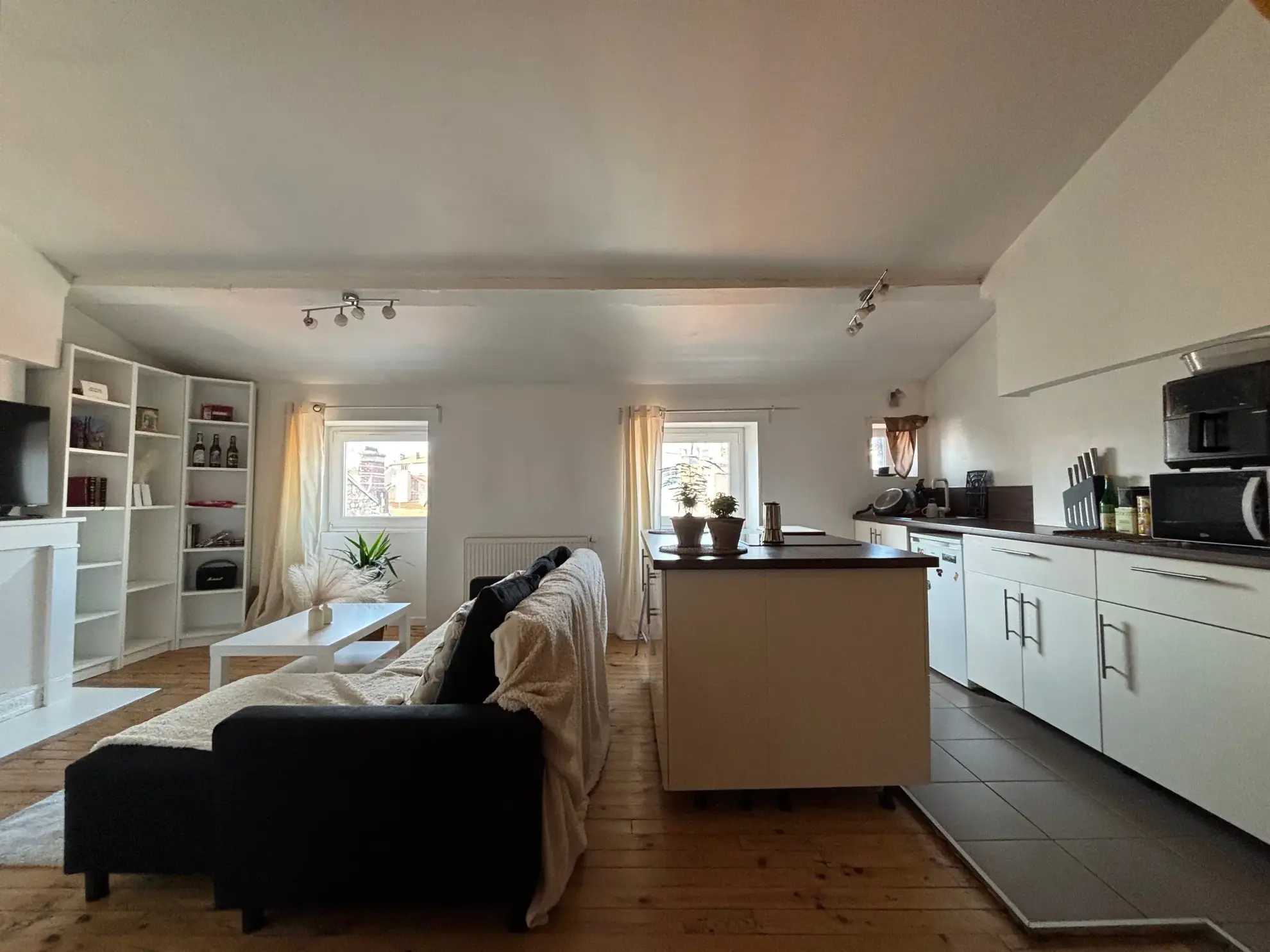 Investissement locatif à Saint-Étienne : Appartement F1 lumineux avec cave, dernier étage 