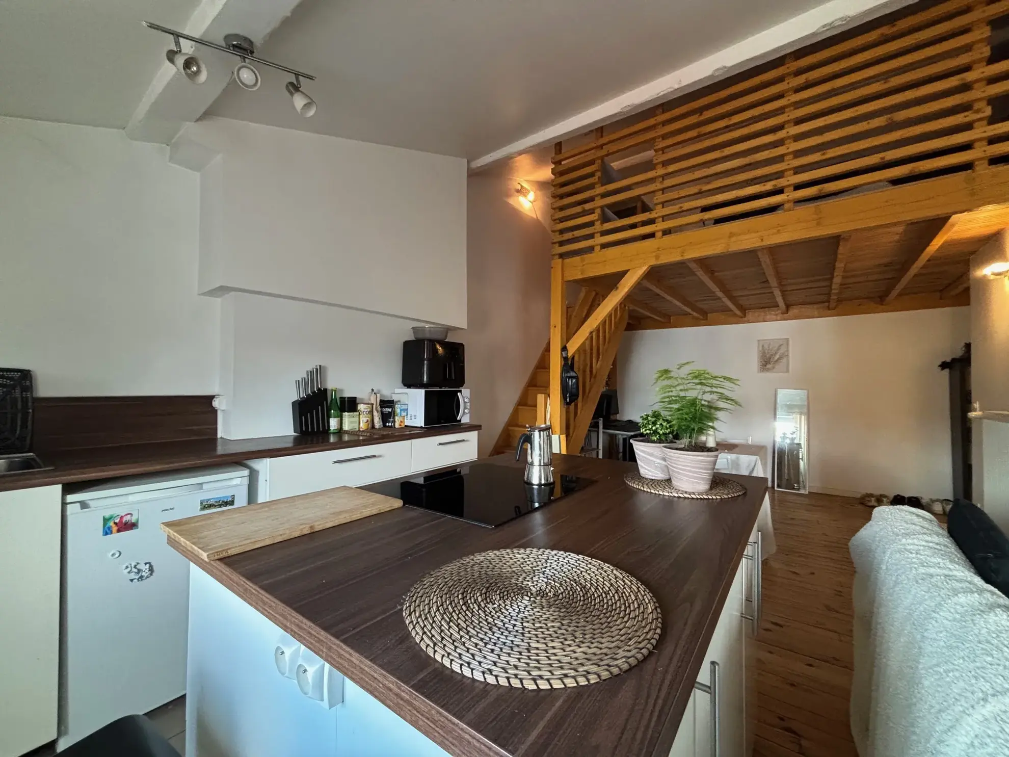 Investissement locatif à Saint-Étienne : Appartement F1 lumineux avec cave, dernier étage 