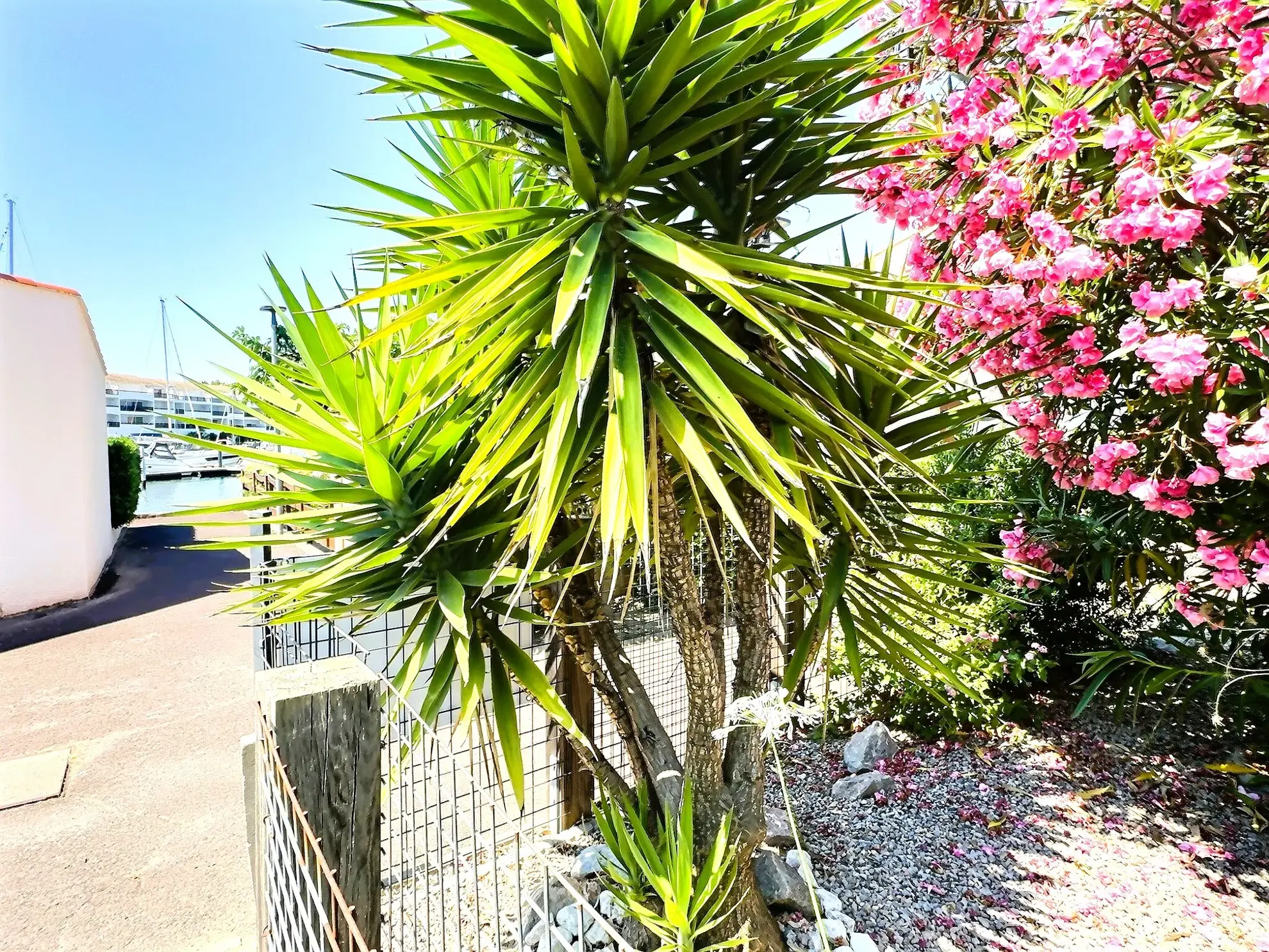 Villa de plain-pied avec jardin et accès marina à Saint-Cyprien Plage 