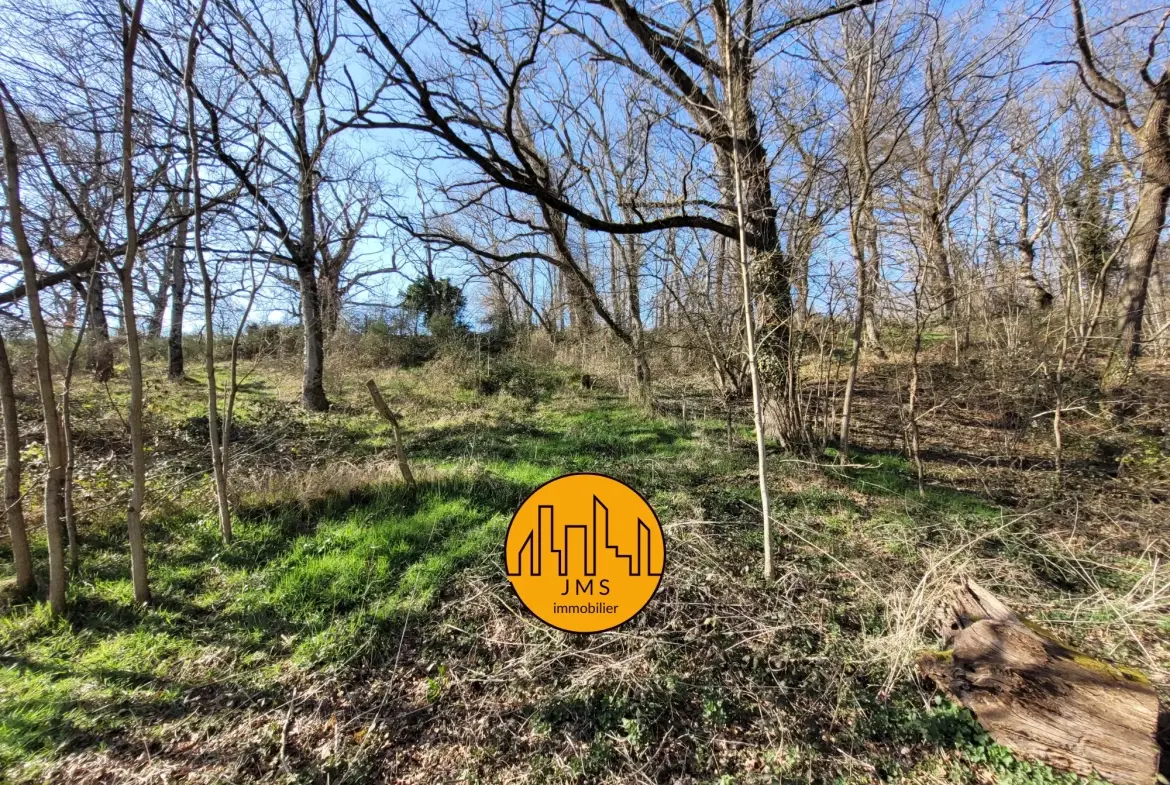 Ferme à vendre à Châtel-de-Neuvre avec 6 hectares, maison et potentiel rural exceptionnel 