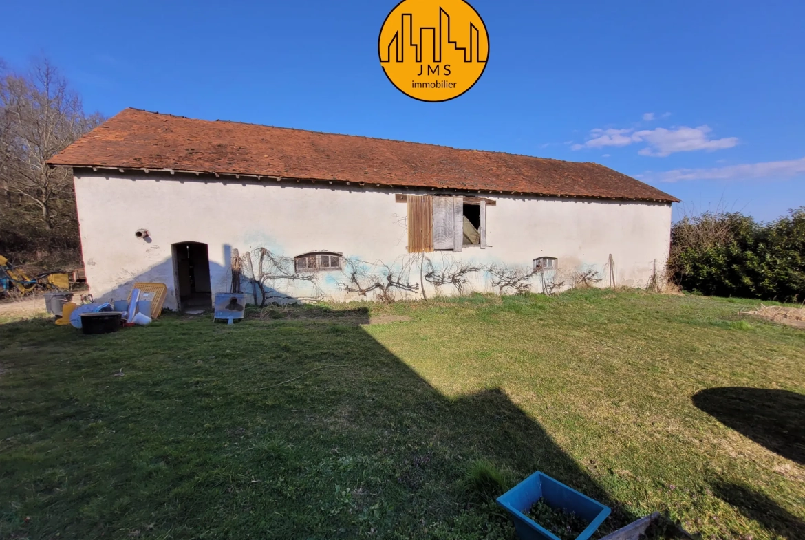 Ferme à vendre à Châtel-de-Neuvre avec 6 hectares, maison et potentiel rural exceptionnel 