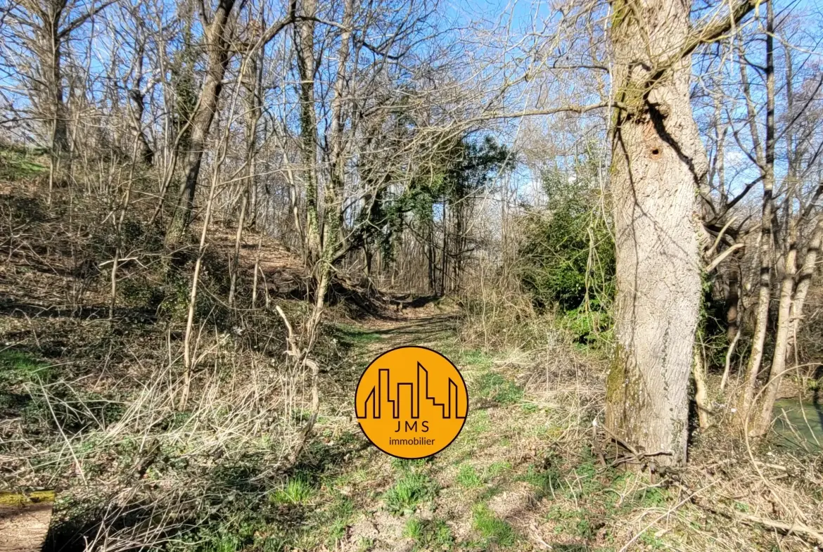 Ferme à vendre à Châtel-de-Neuvre avec 6 hectares, maison et potentiel rural exceptionnel 