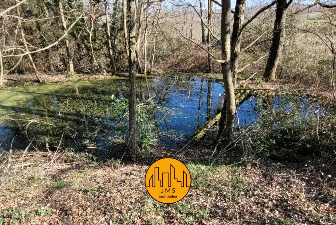 Ferme à vendre à Châtel-de-Neuvre avec 6 hectares, maison et potentiel rural exceptionnel 