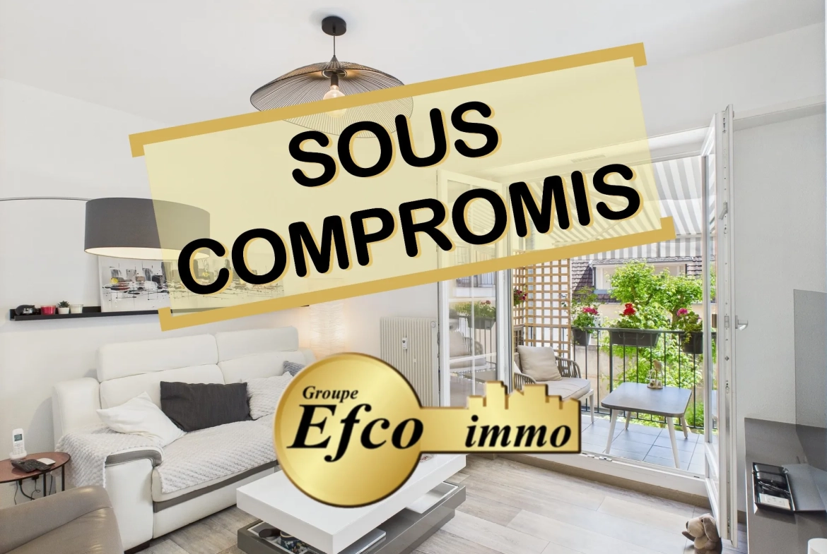 Appartement lumineux de 60m² avec garage et cave au cœur de Mulhouse 