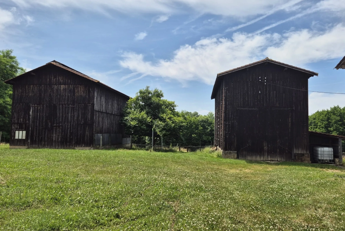 Spacieuse maison en pierre avec grand terrain et dépendances à Loubens 
