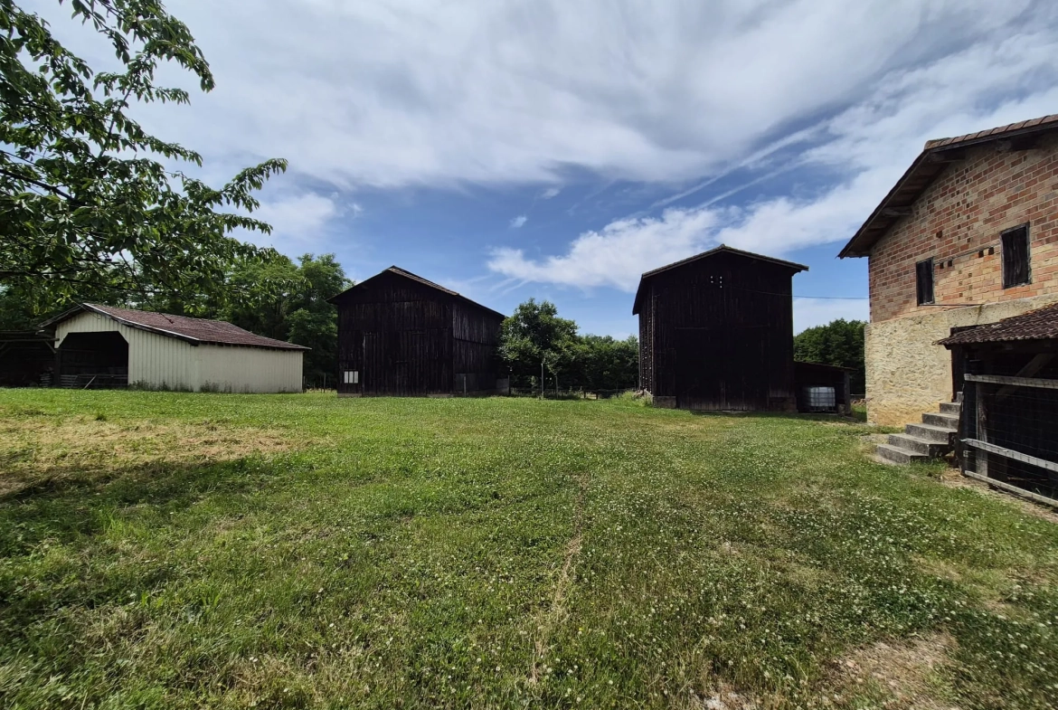 Spacieuse maison en pierre avec grand terrain et dépendances à Loubens 