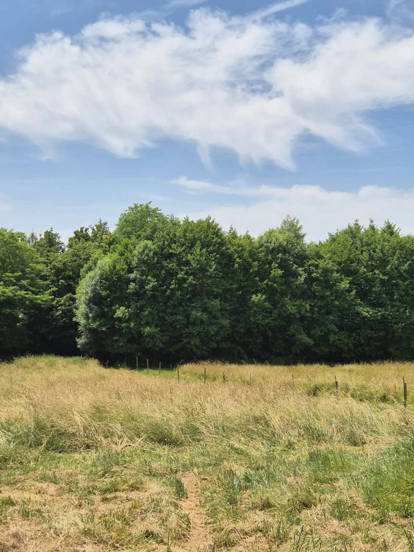 Spacieuse maison en pierre avec grand terrain et dépendances à Loubens 