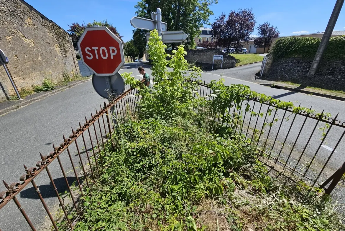 Maison 3 pièces avec jardin à Montgivray 36400 – Idéal résidence ou investissement 
