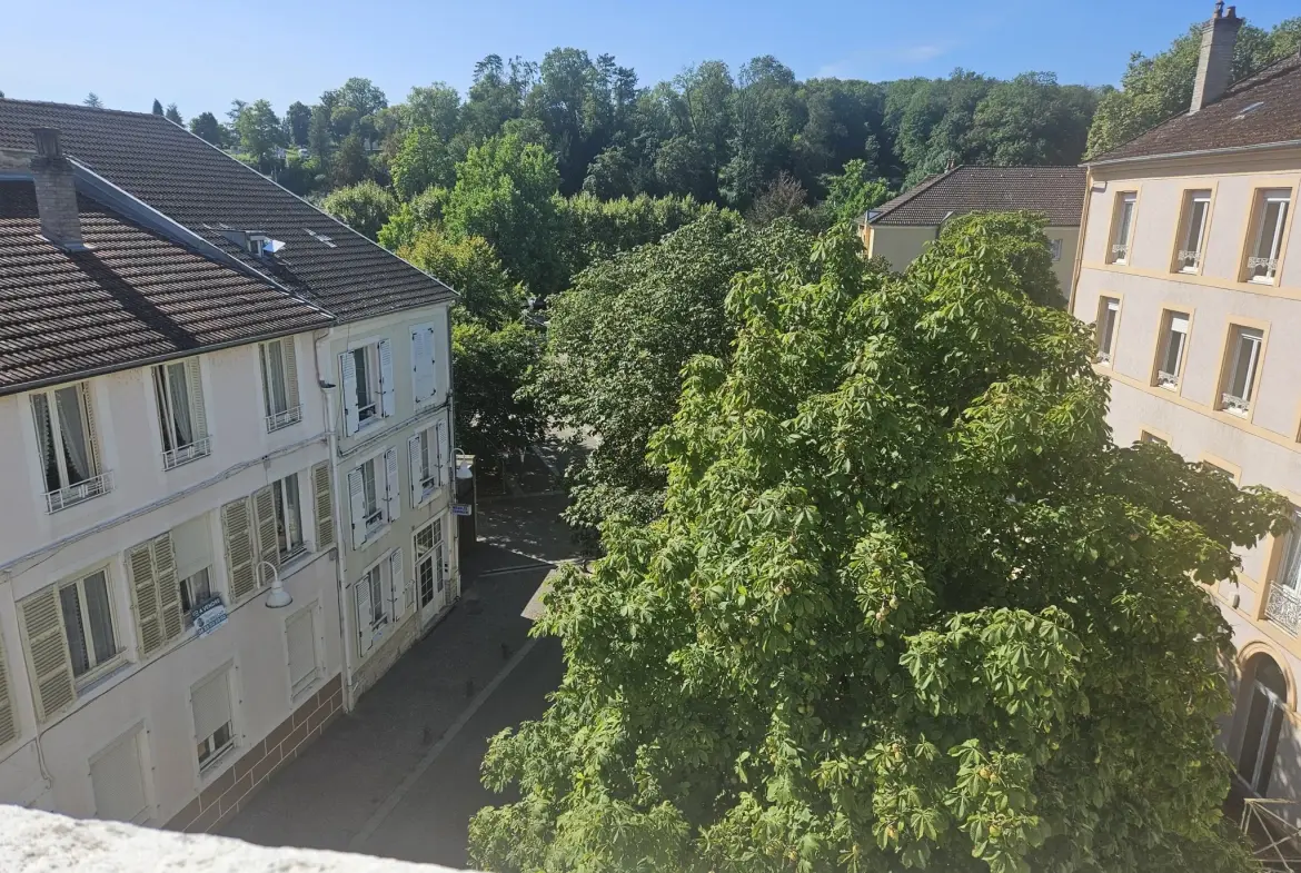 Immeuble de prestige de 106 m² à Bourbonne-les-Bains, idéal pour investissement locatif 
