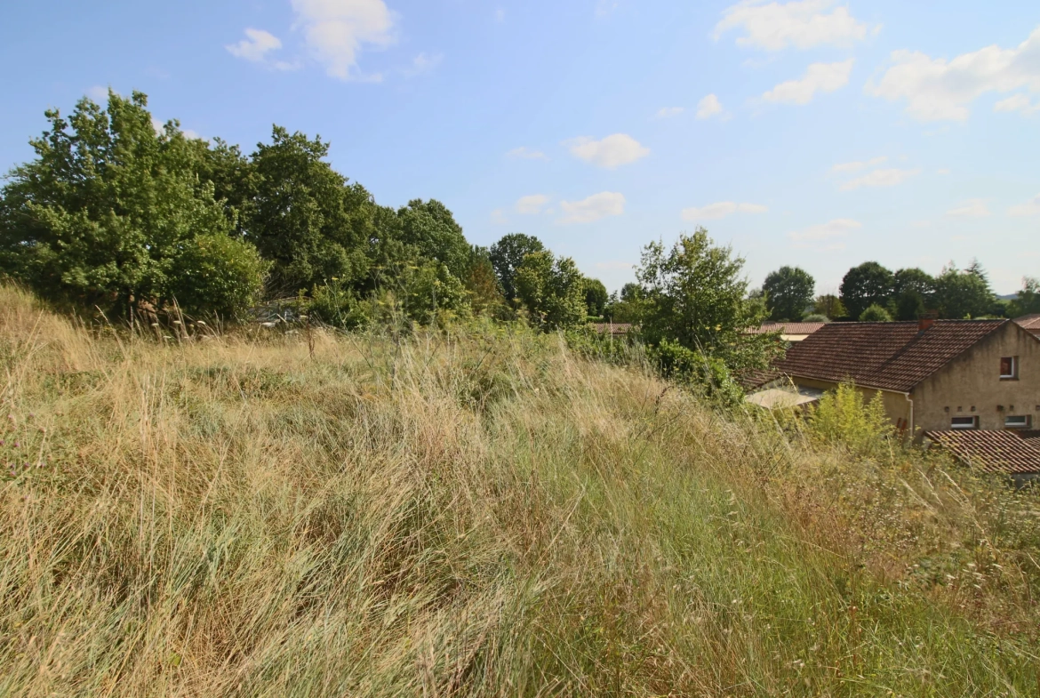 Terrain constructible de 650 m² à Puy l'Évêque dans un environnement calme 