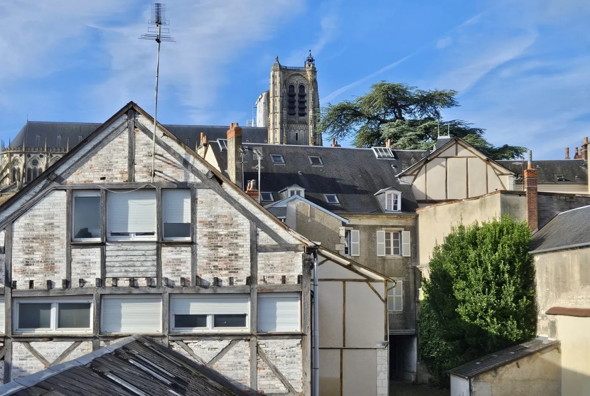 À vendre : Duplex de 143,70 m² avec vue sur la cathédrale à Bourges - Quartier Saint Bonnet 