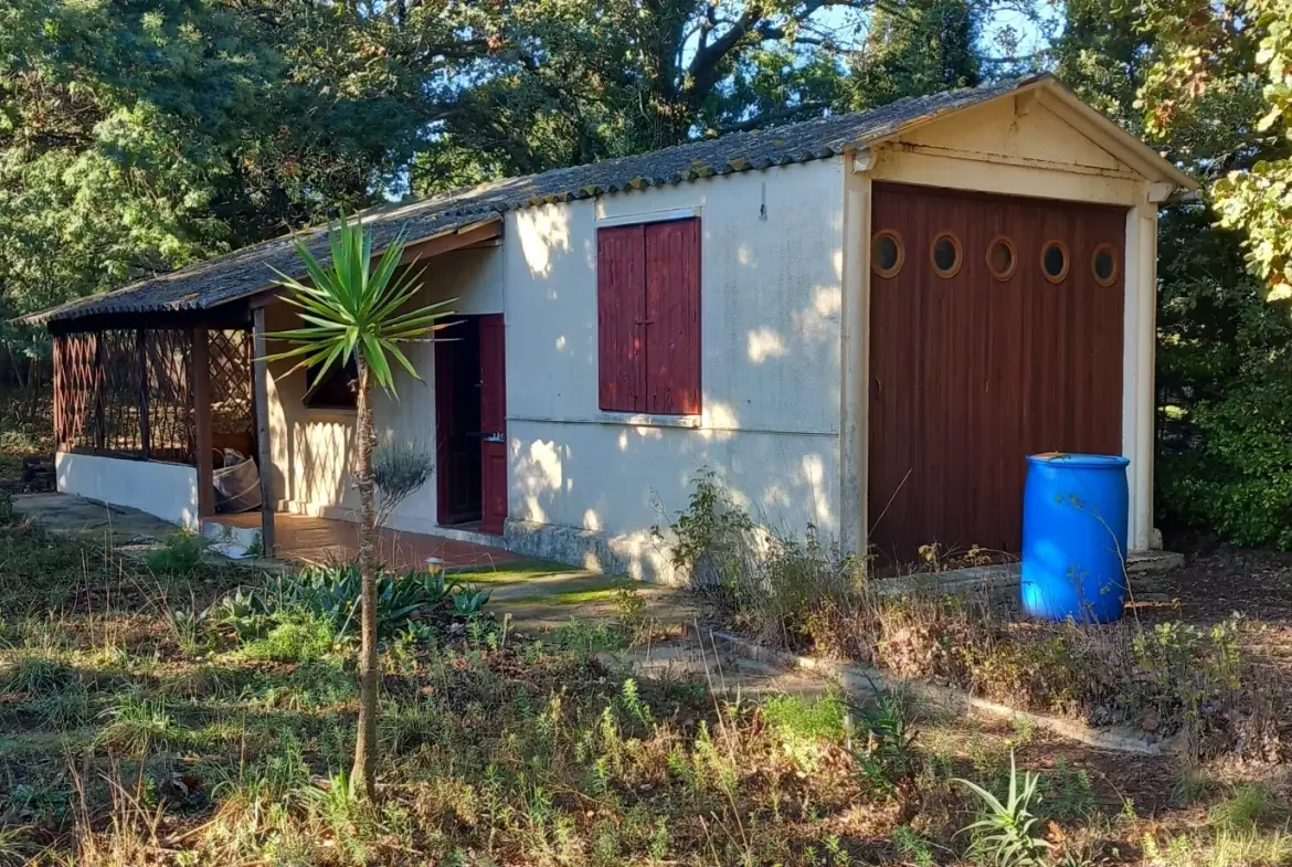 Terrain agricole de 700 m² avec cabanon à Argelès-sur-Mer 