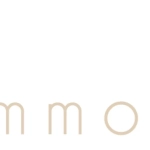 AFFIMMOBILIER_1