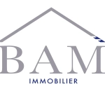 BASM-CONSULTING_1