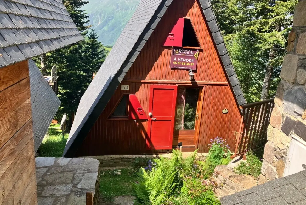 Charmant chalet à vendre dans le parc naturel des Pyrénées ariégeoises 