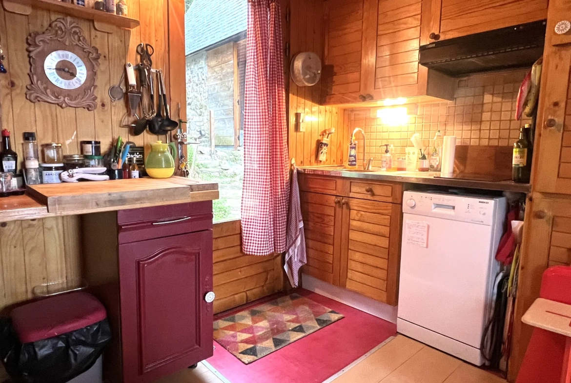 Charmant chalet à vendre dans le parc naturel des Pyrénées ariégeoises 