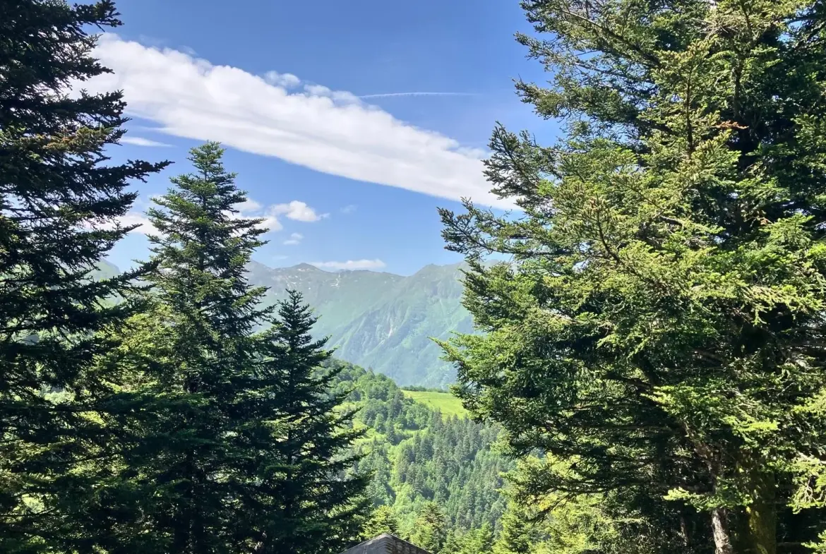 Charmant chalet à vendre dans le parc naturel des Pyrénées ariégeoises 