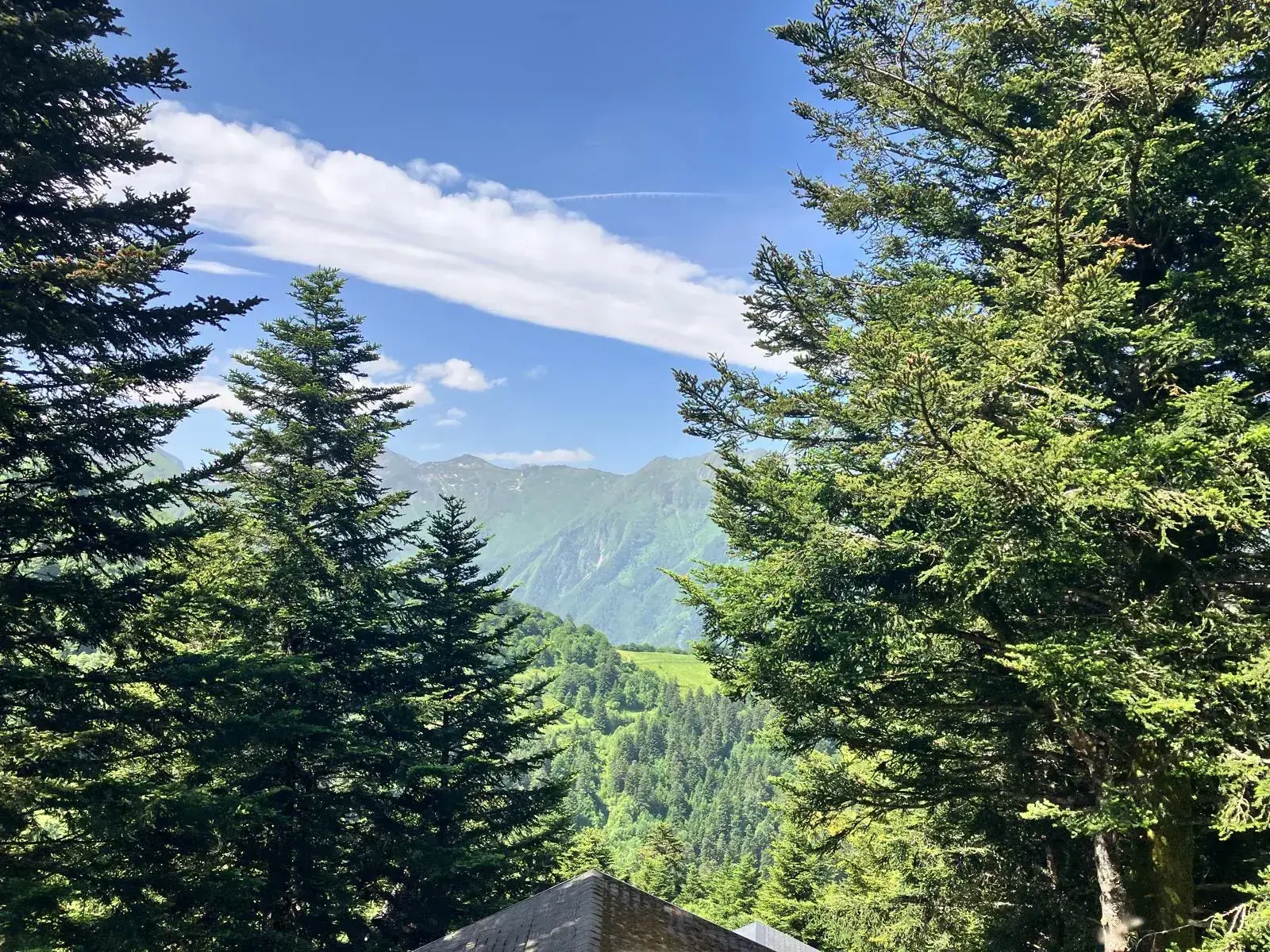 Charmant chalet à vendre dans le parc naturel des Pyrénées ariégeoises 