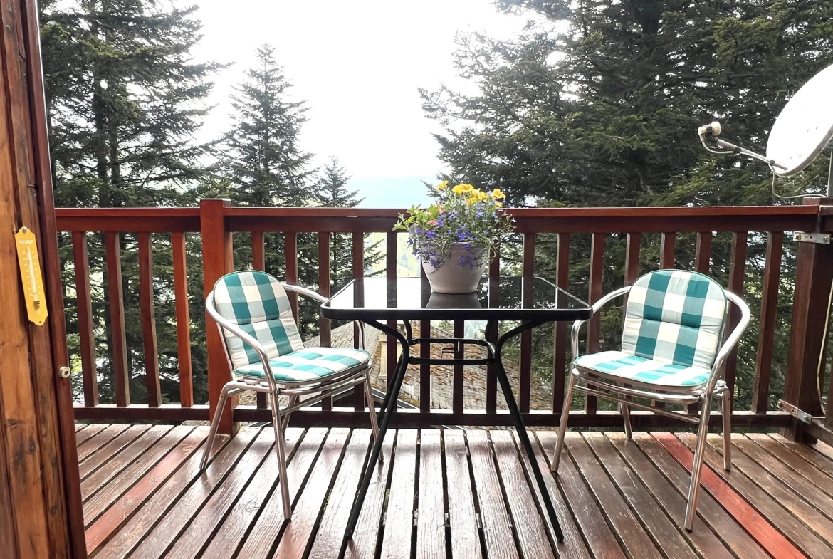 Charmant chalet à vendre dans le parc naturel des Pyrénées ariégeoises 