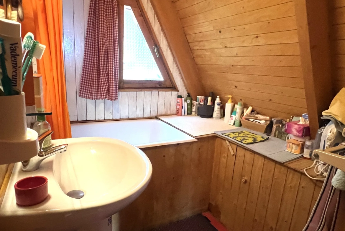 Charmant chalet à vendre dans le parc naturel des Pyrénées ariégeoises 