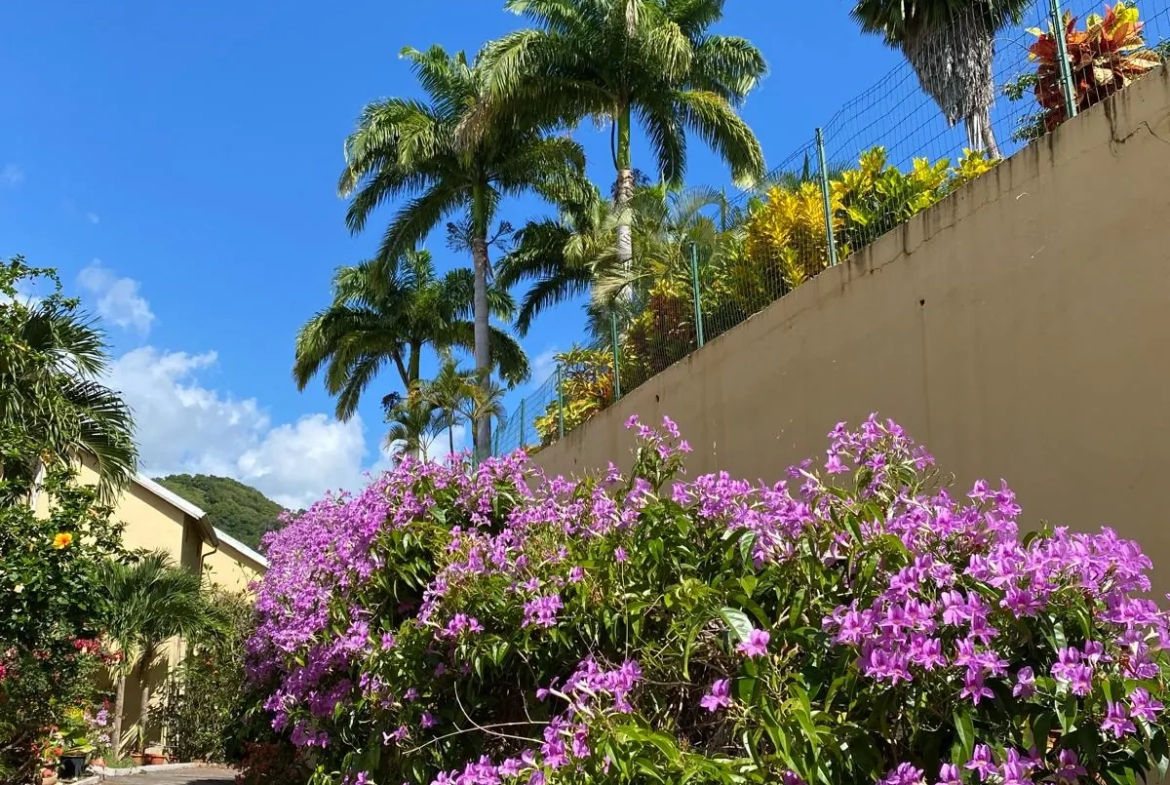 Appartement duplex avec vue sur la Marina au Marin - Idéal résidence ou investissement 