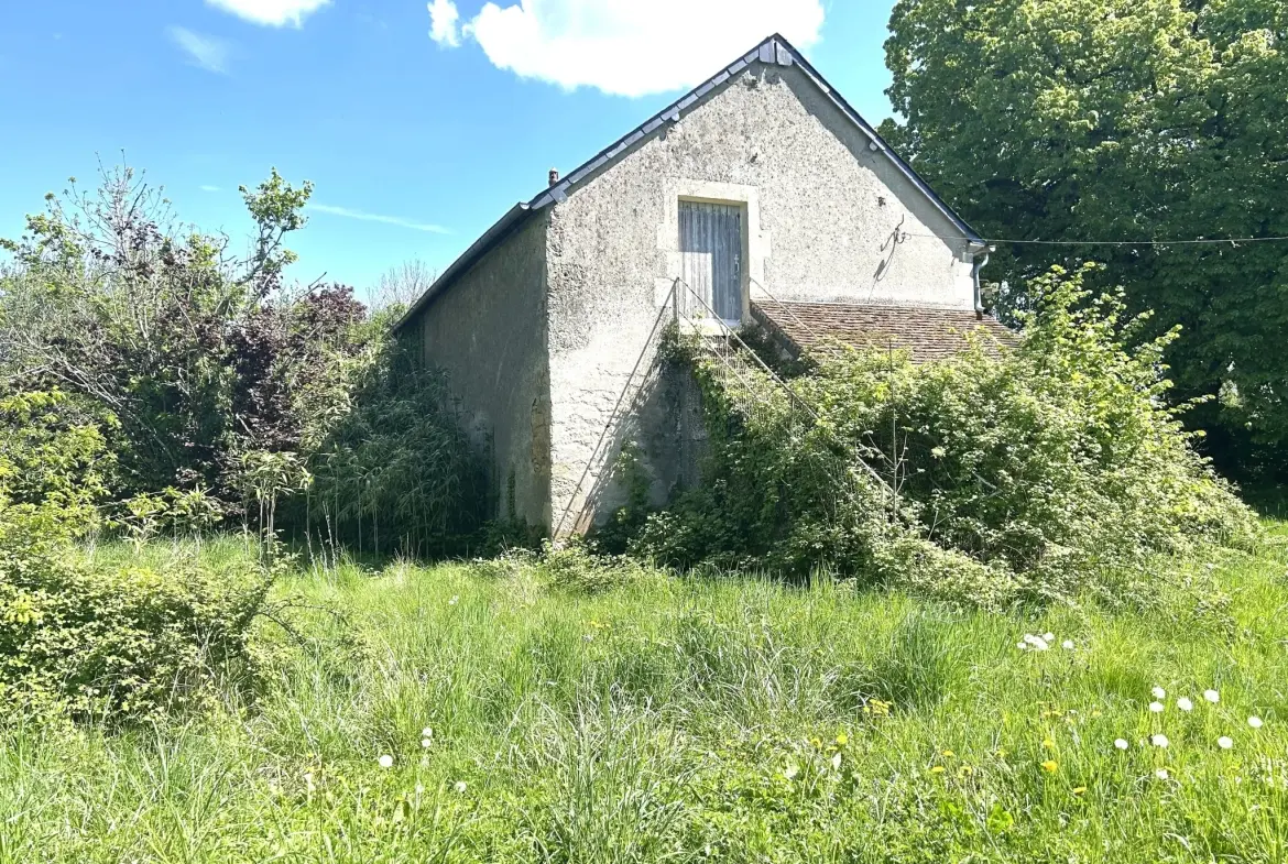 Maison à rénover avec grange et vue imprenable à Lurcy le Bourg 