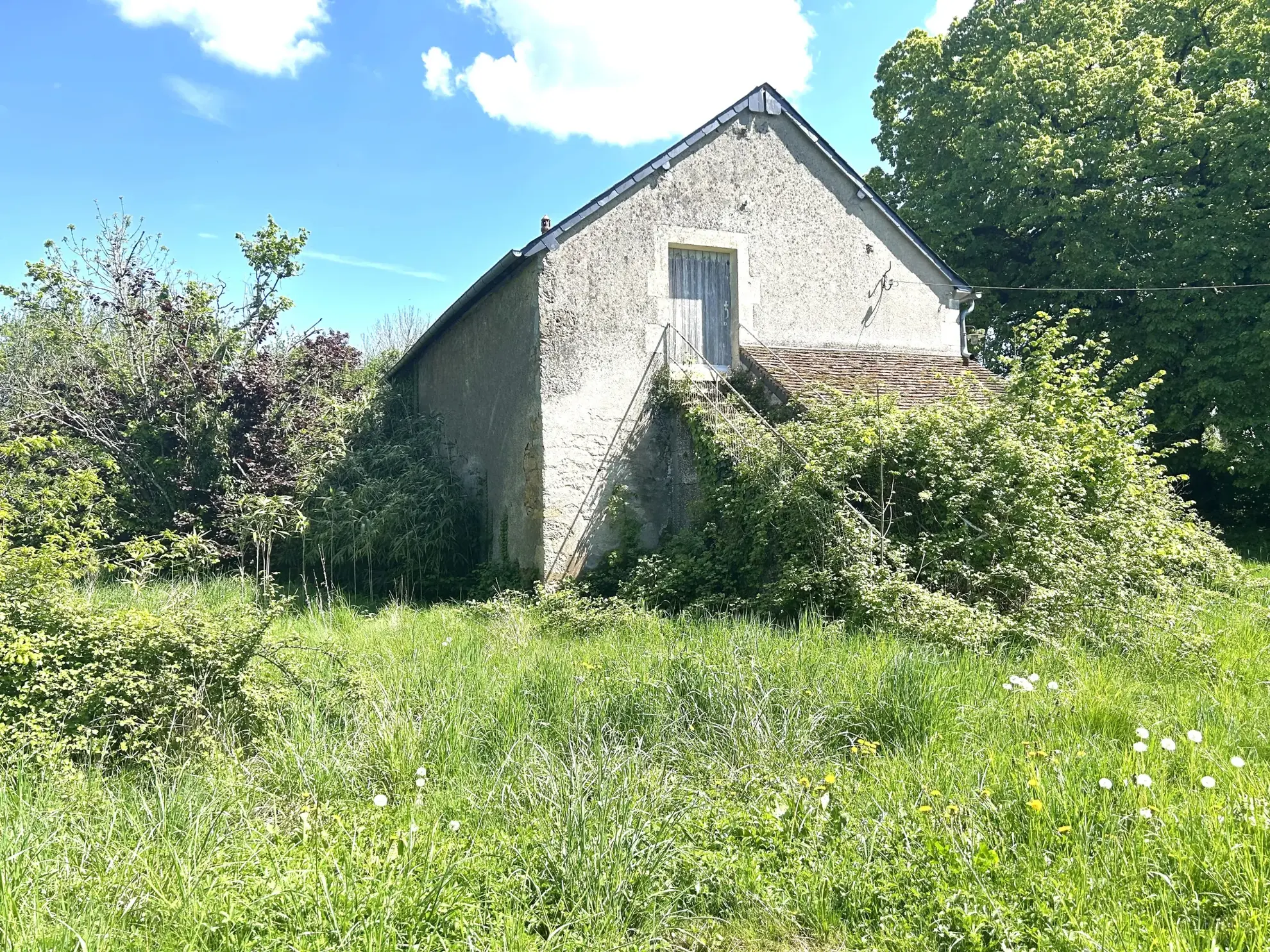Maison à rénover avec grange et vue imprenable à Lurcy le Bourg 