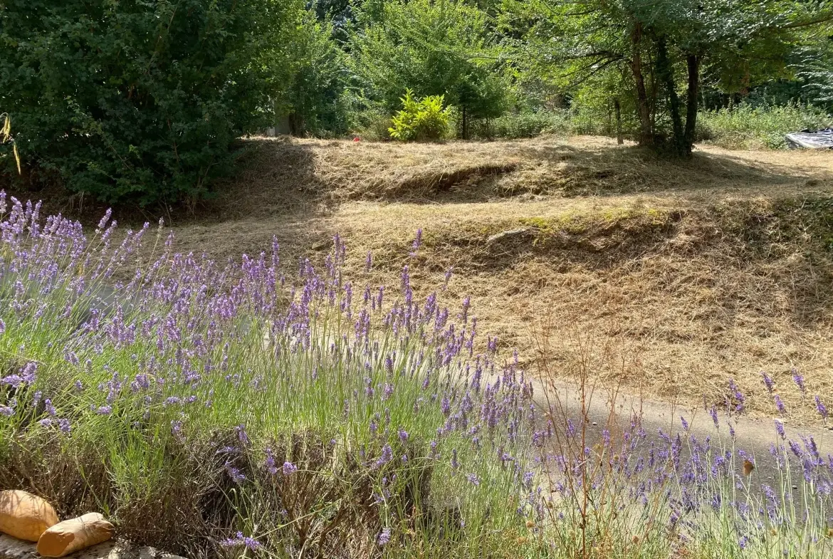 Maison en pierre à vendre à Blanquefort-sur-Briolance avec grand terrain 