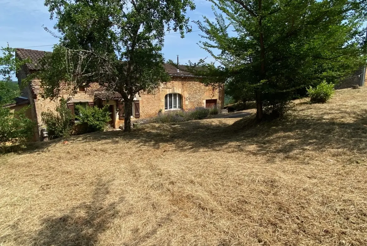 Maison en pierre à vendre à Blanquefort-sur-Briolance avec grand terrain 