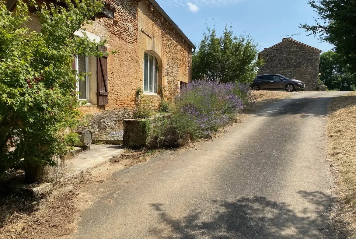 Maison en pierre à vendre à Blanquefort-sur-Briolance avec grand terrain 