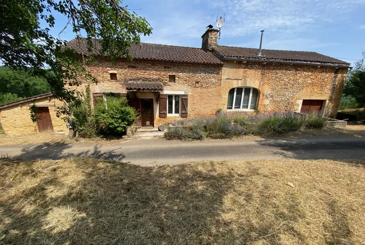 Maison en pierre à vendre à Blanquefort-sur-Briolance avec grand terrain 