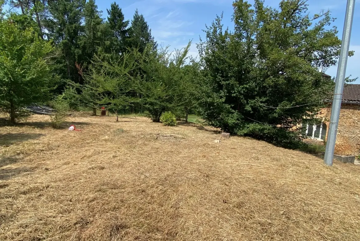 Maison en pierre à vendre à Blanquefort-sur-Briolance avec grand terrain 