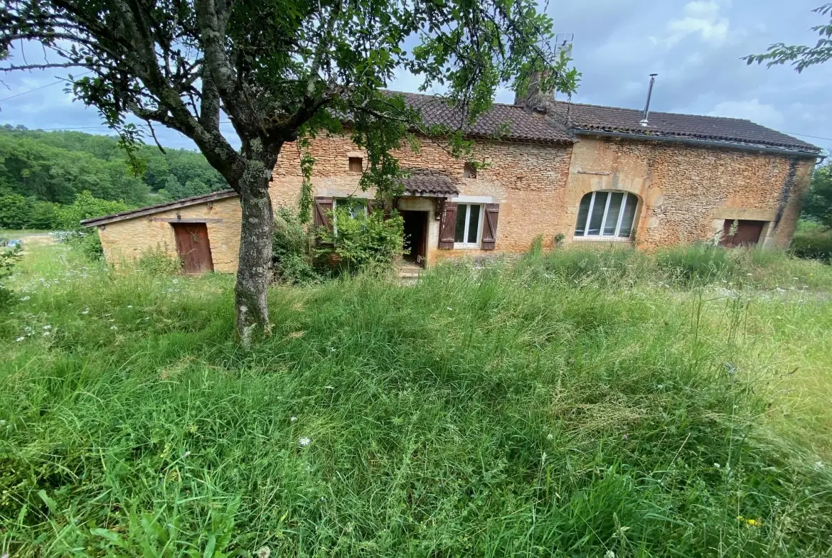 Maison en pierre à vendre à Blanquefort-sur-Briolance avec grand terrain 