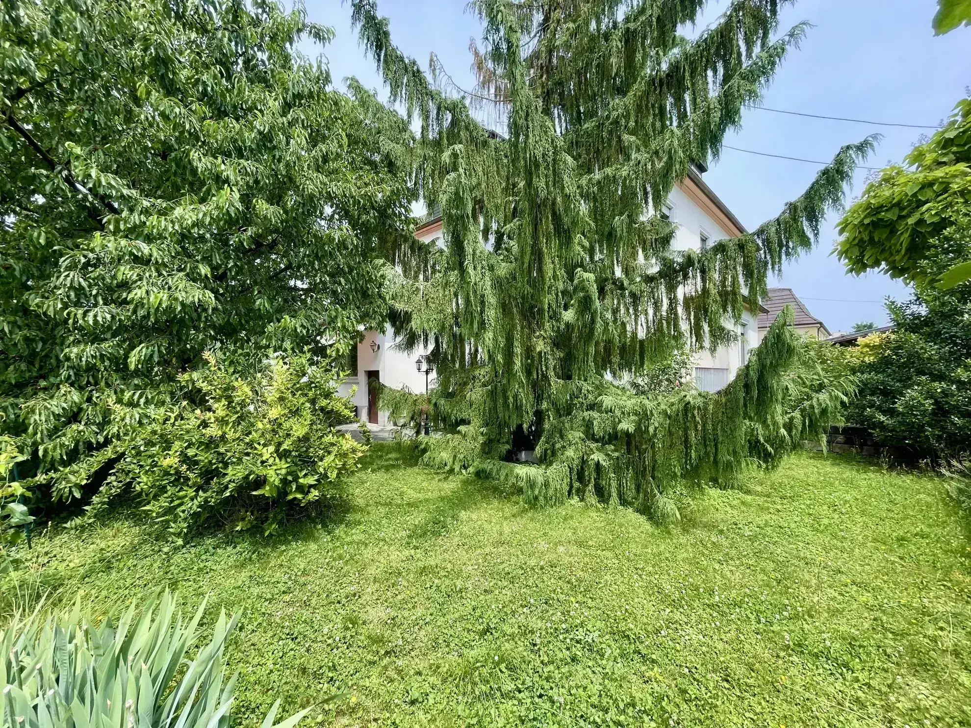 Appartement F5 avec jardin privatif à Kingersheim - Grande superficie et charme authentique 