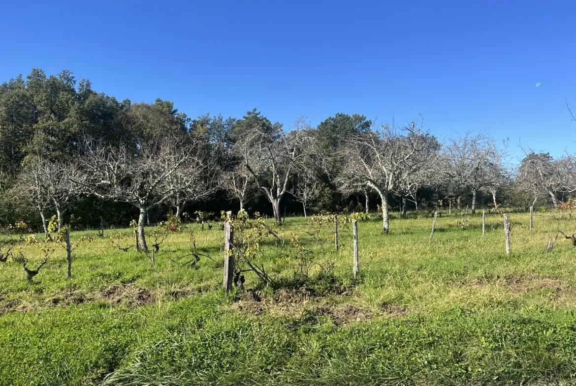 Terrain constructible de 2255 m² à Sarlat, secteur calme et ensoleillé 