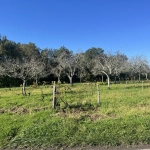 Terrain constructible de 2255 m² à Sarlat, secteur calme et ensoleillé