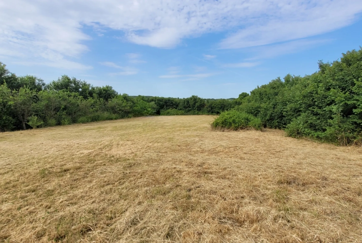 Maison de village à vendre à Cléré sur Layon, 108 m² avec jardin et vue dégagée 