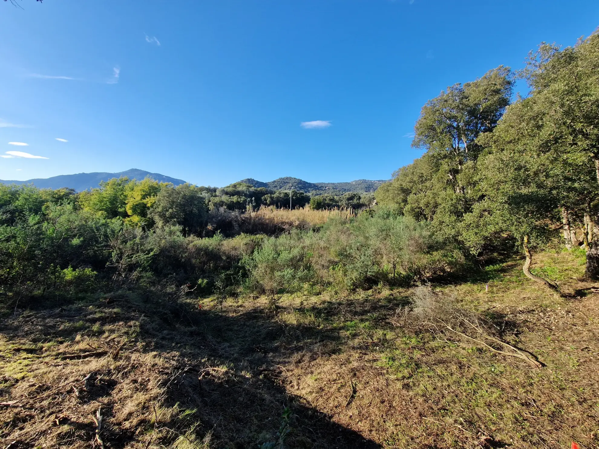 Appartement T2 à Ajaccio Suartello avec terrasse et stationnement privé 