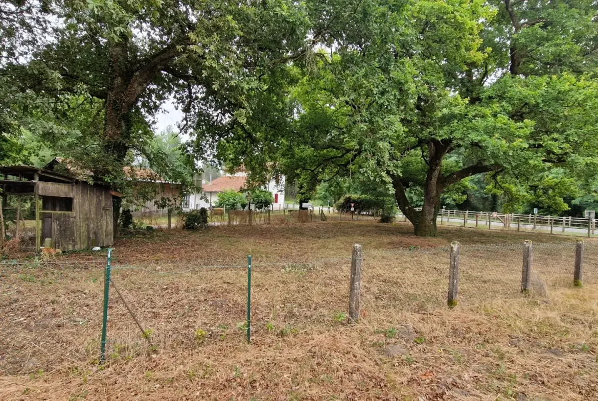 Maison de plain-pied avec garage et jardin à Bernos-Beaulac 