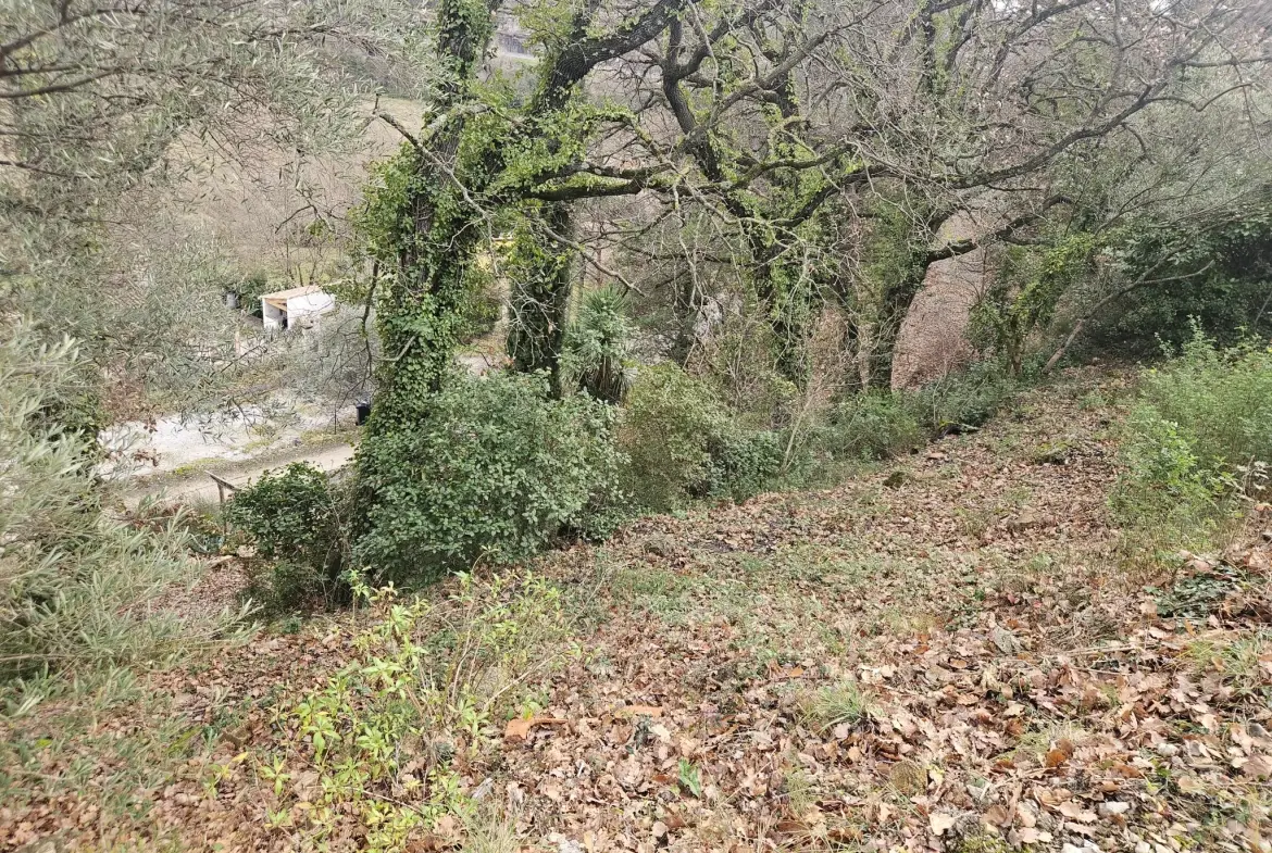 Terrain constructible de 430 m² à Poujols près de Lodève, vue montagne 