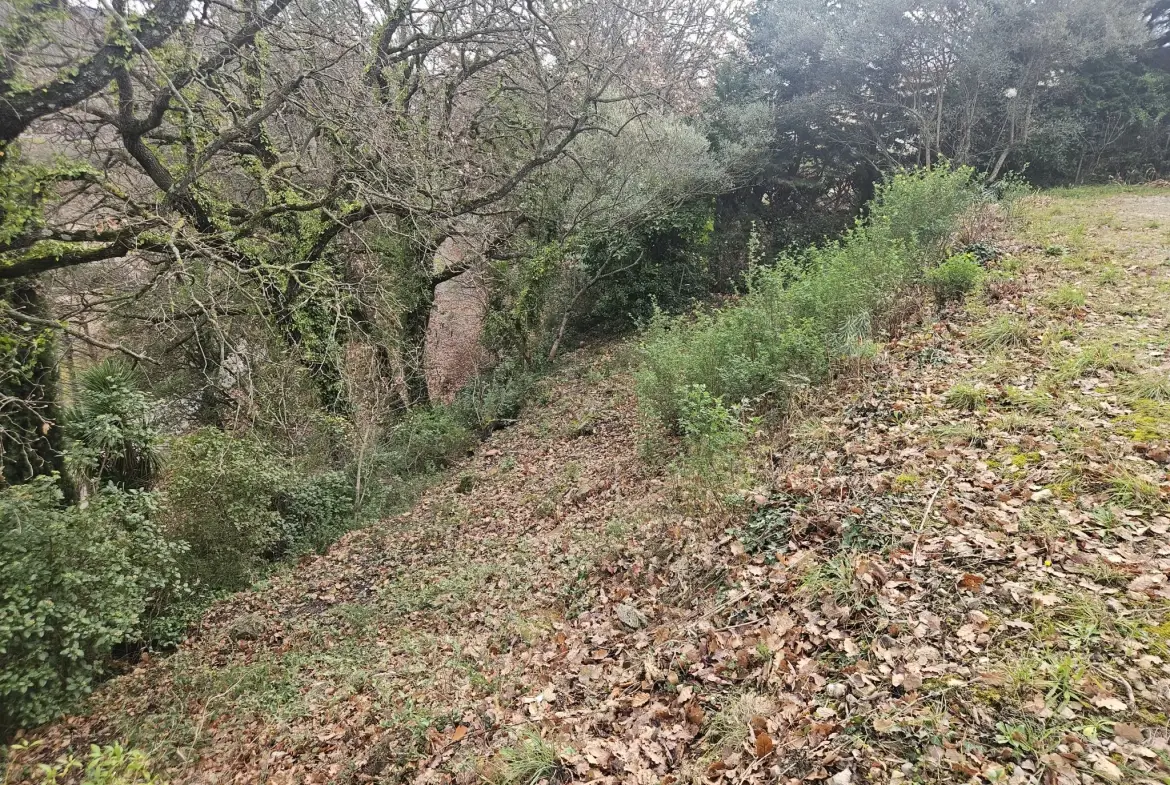 Terrain constructible de 430 m² à Poujols près de Lodève, vue montagne 