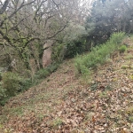 Terrain constructible de 430 m² à Poujols près de Lodève, vue montagne