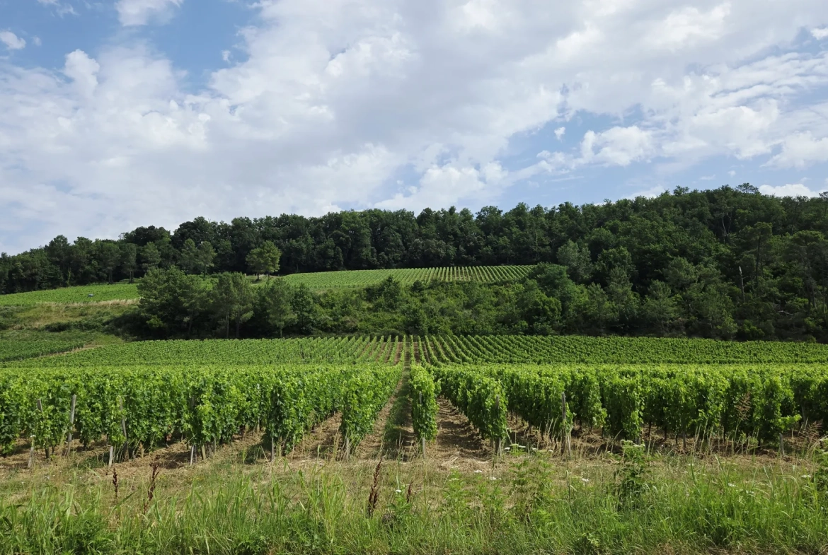 Maison en pierre avec 3 logements dans le vignoble de Saint-Emilion 