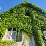 Maison à rénover de 90 m² à Village-Neuf, proche frontières et transports