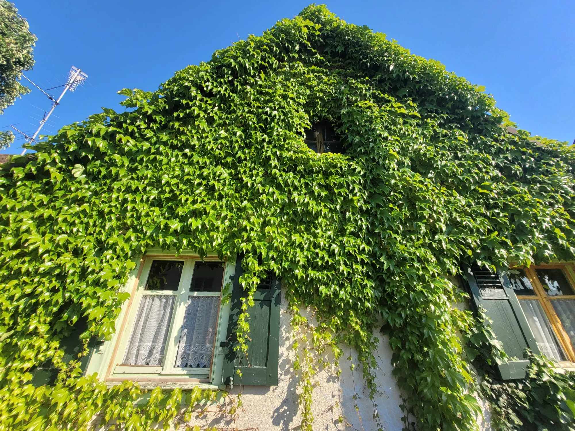 Maison à rénover de 90 m² à Village-Neuf, proche frontières et transports 