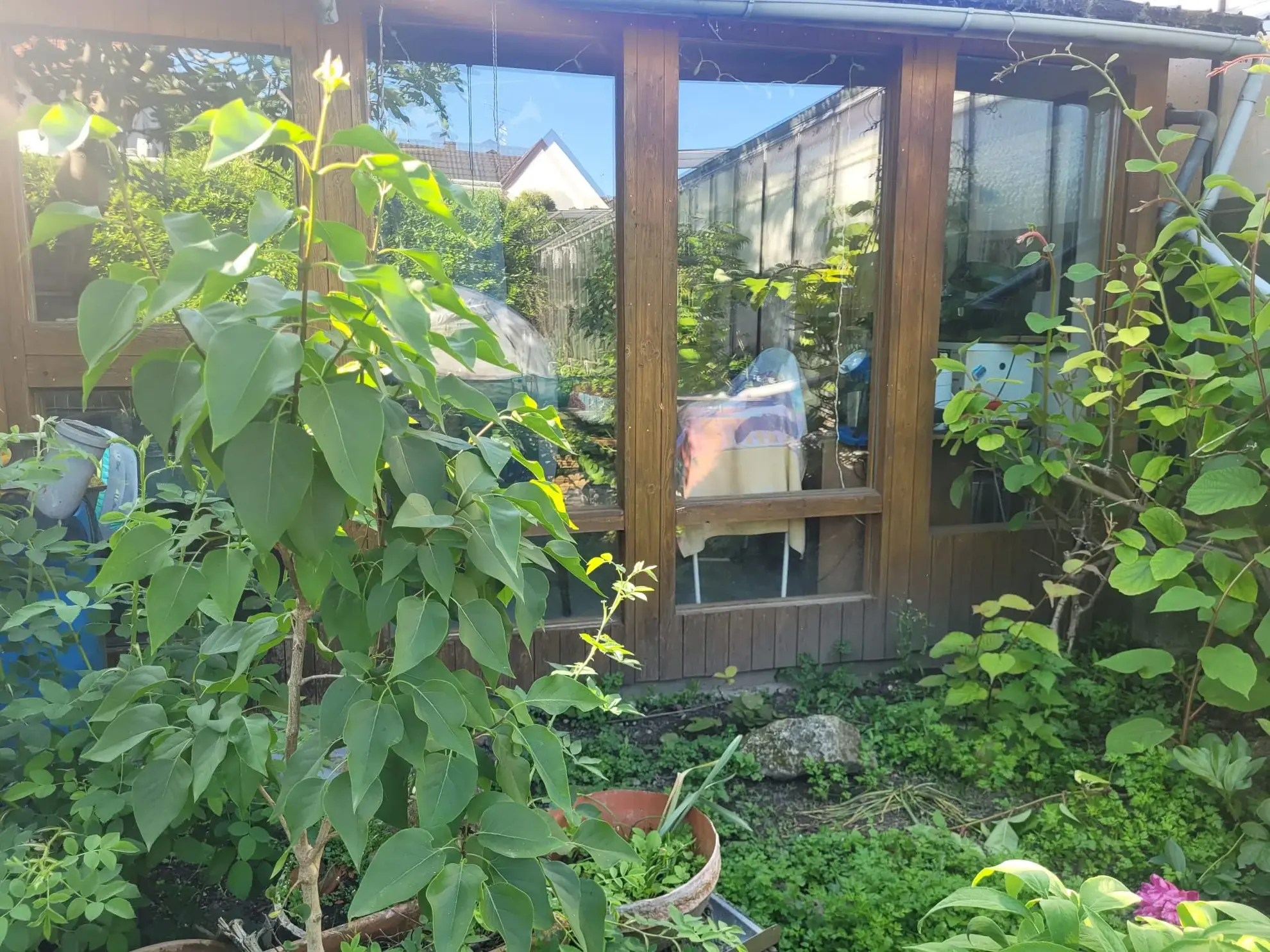 Maison à rénover de 90 m² à Village-Neuf, proche frontières et transports 