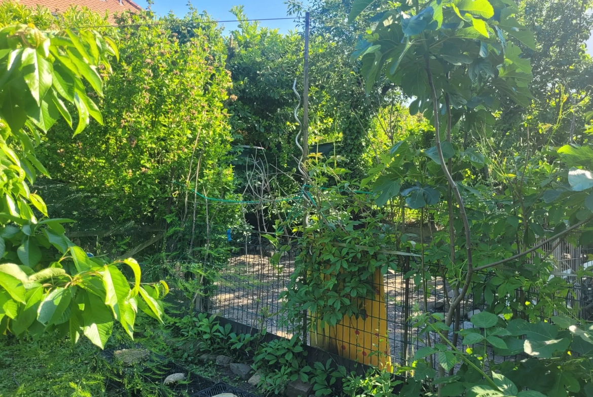 Maison à rénover de 90 m² à Village-Neuf, proche frontières et transports 